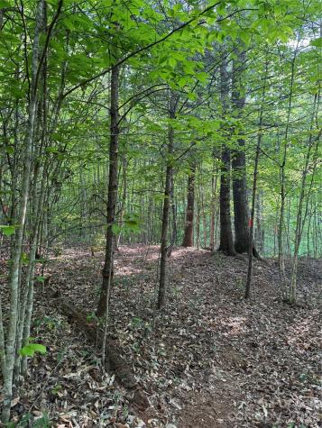 Lot # 6 West Legacy Drive Hendersonville NC 28739