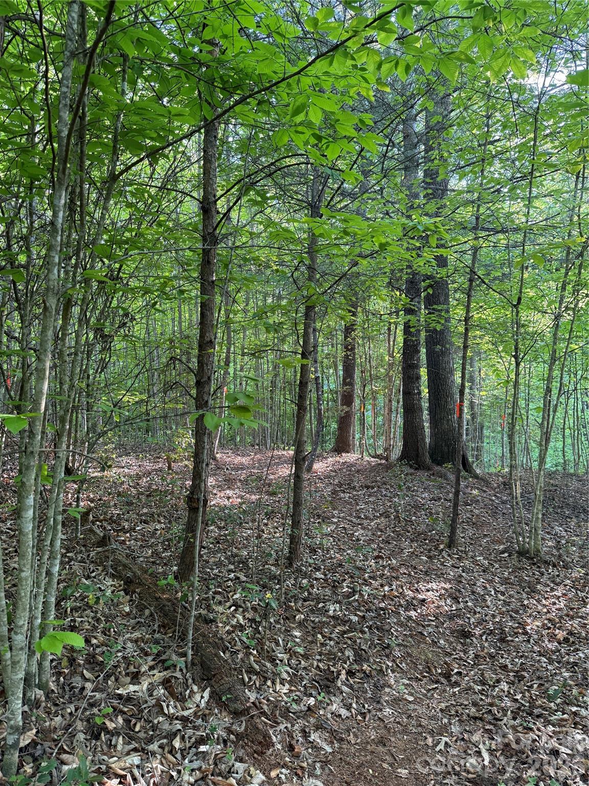 Lot # 6 West Legacy Drive Hendersonville NC 28739