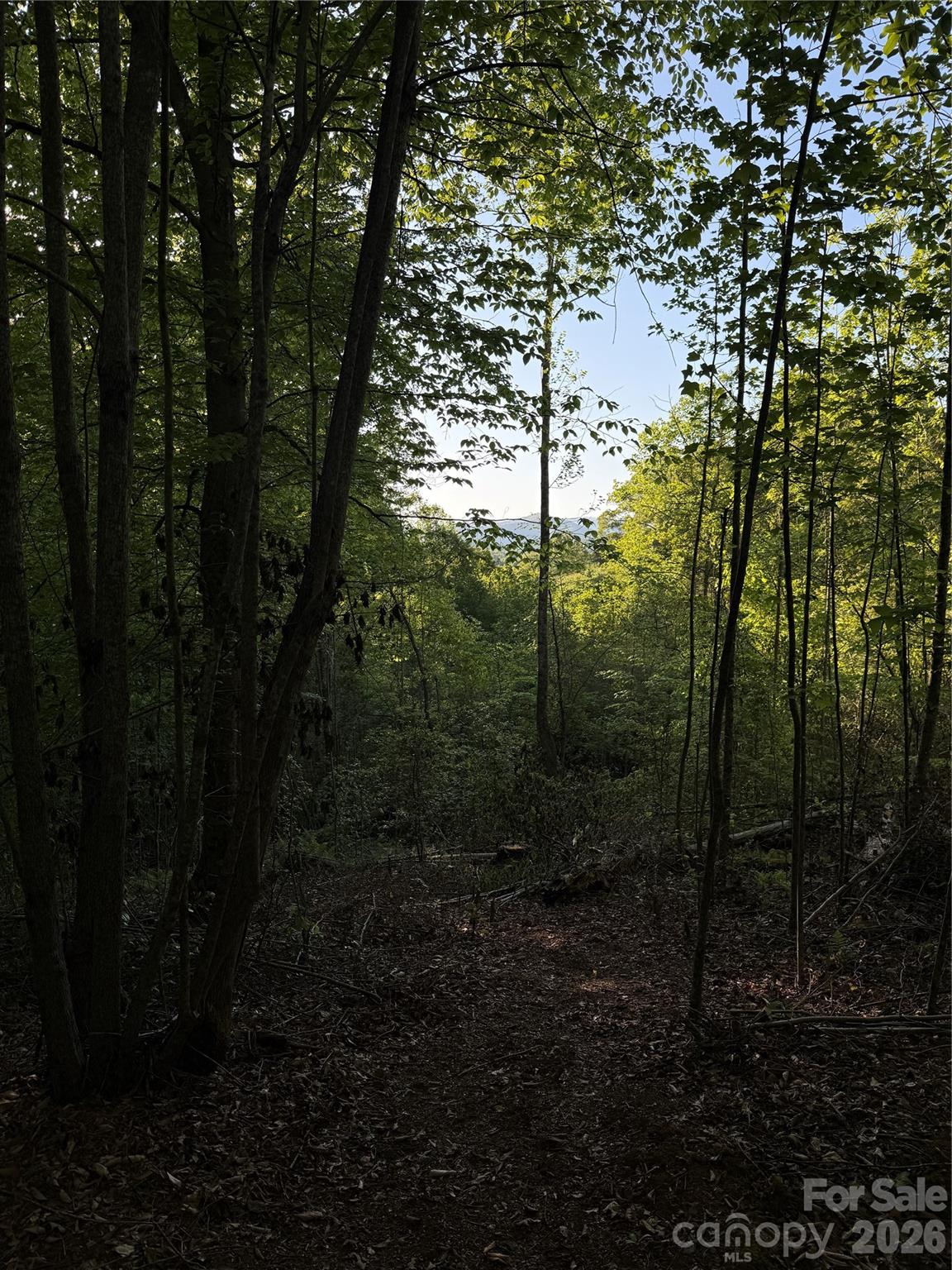 Lot # 6 West Legacy Drive Hendersonville NC 28739
