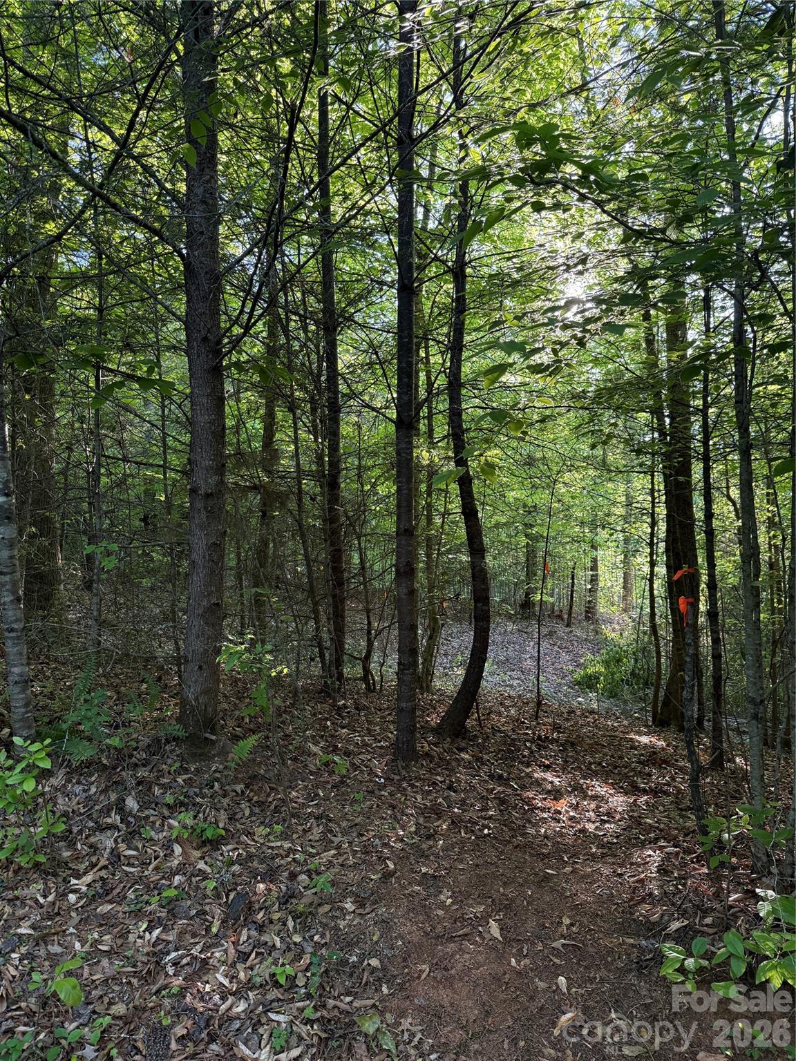 Lot # 6 West Legacy Drive Hendersonville NC 28739