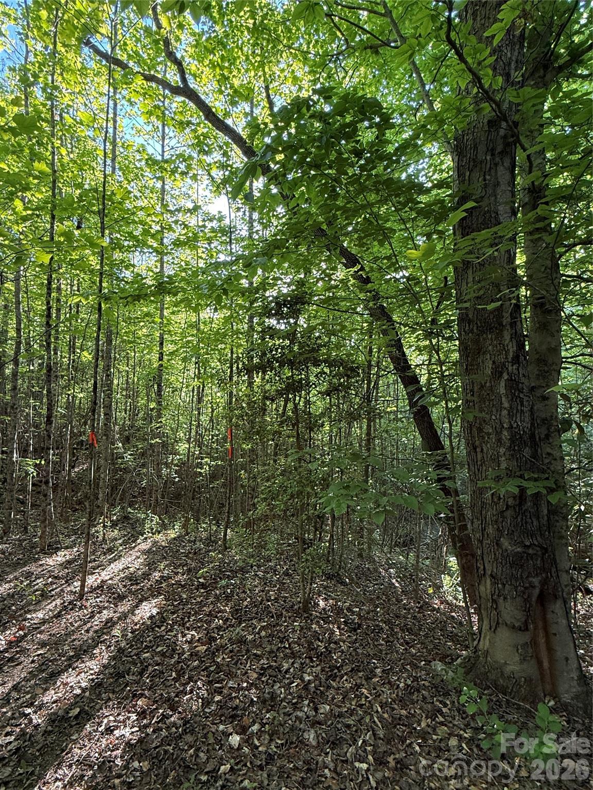 Lot # 6 West Legacy Drive Hendersonville NC 28739