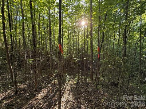 Lot # 6 West Legacy Drive Hendersonville NC 28739