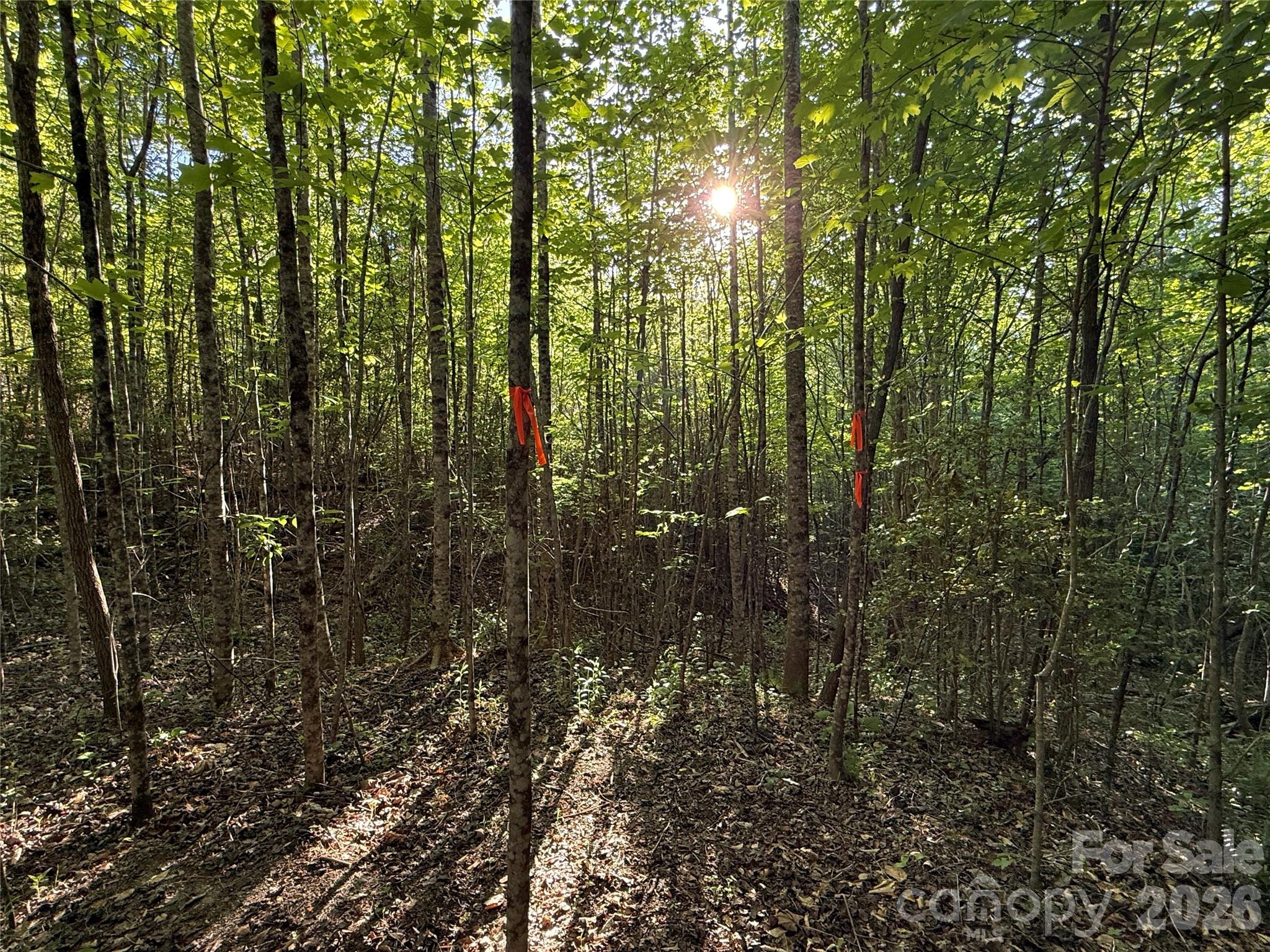 Lot # 6 West Legacy Drive Hendersonville NC 28739