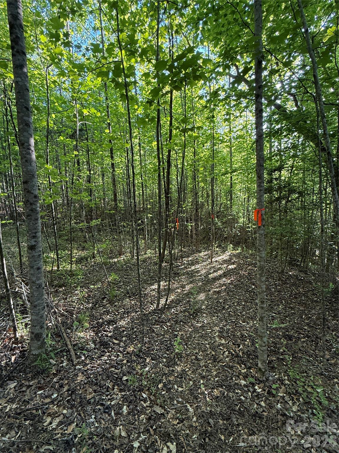 Lot # 6 West Legacy Drive Hendersonville NC 28739