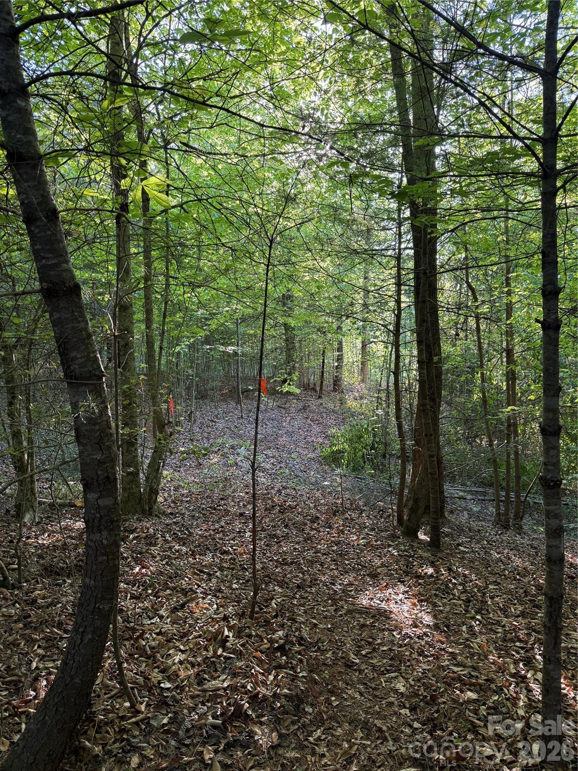 Lot # 6 West Legacy Drive Hendersonville NC 28739