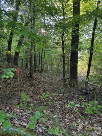 Lot # 6 West Legacy Drive Hendersonville NC 28739