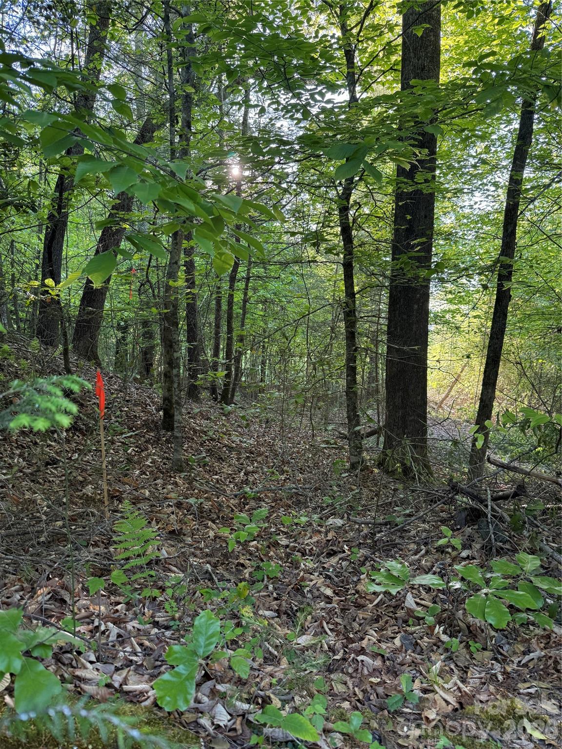 Lot # 6 West Legacy Drive Hendersonville NC 28739