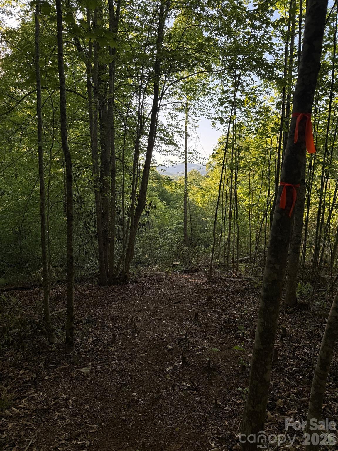 Lot # 6 West Legacy Drive Hendersonville NC 28739