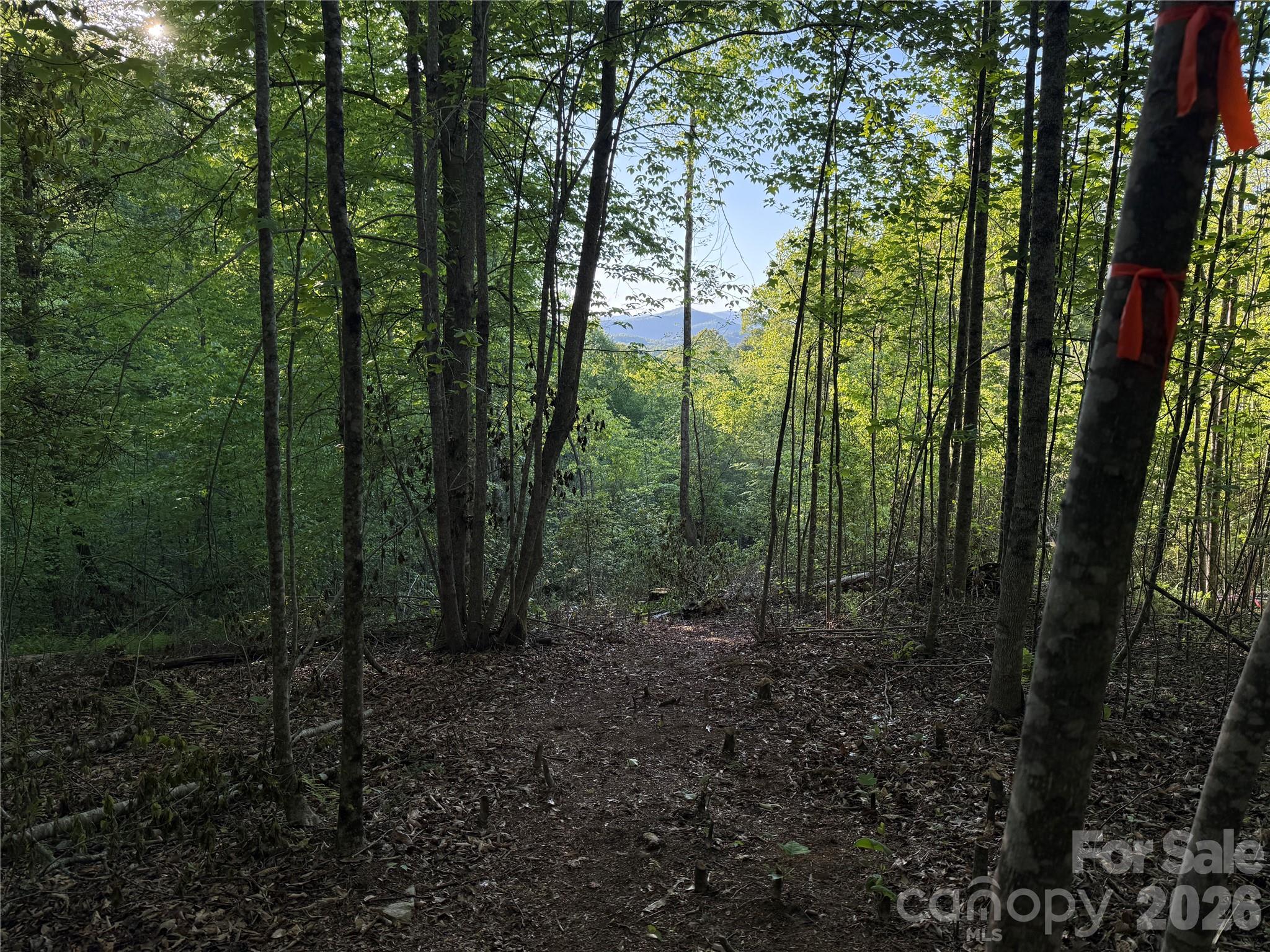 Lot # 6 West Legacy Drive Hendersonville NC 28739