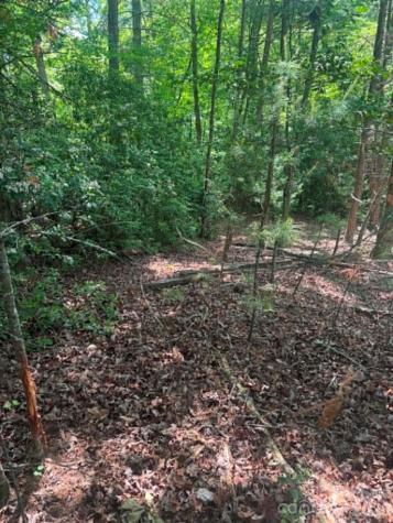Lot 19 Fawn Lane Hayes NC 28635
