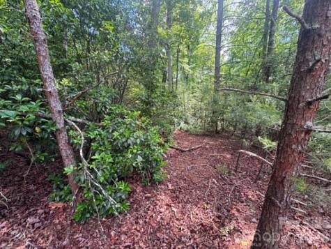 Lot 19 Fawn Lane Hayes NC 28635