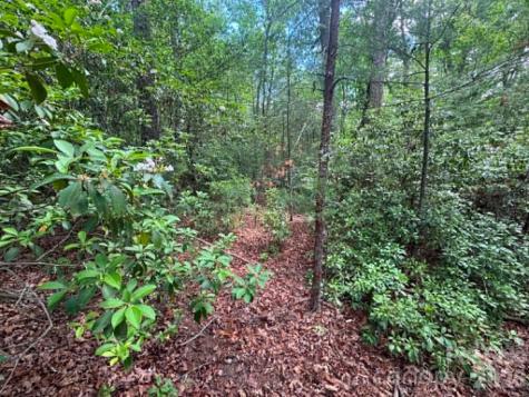 Lot 19 Fawn Lane Hayes NC 28635