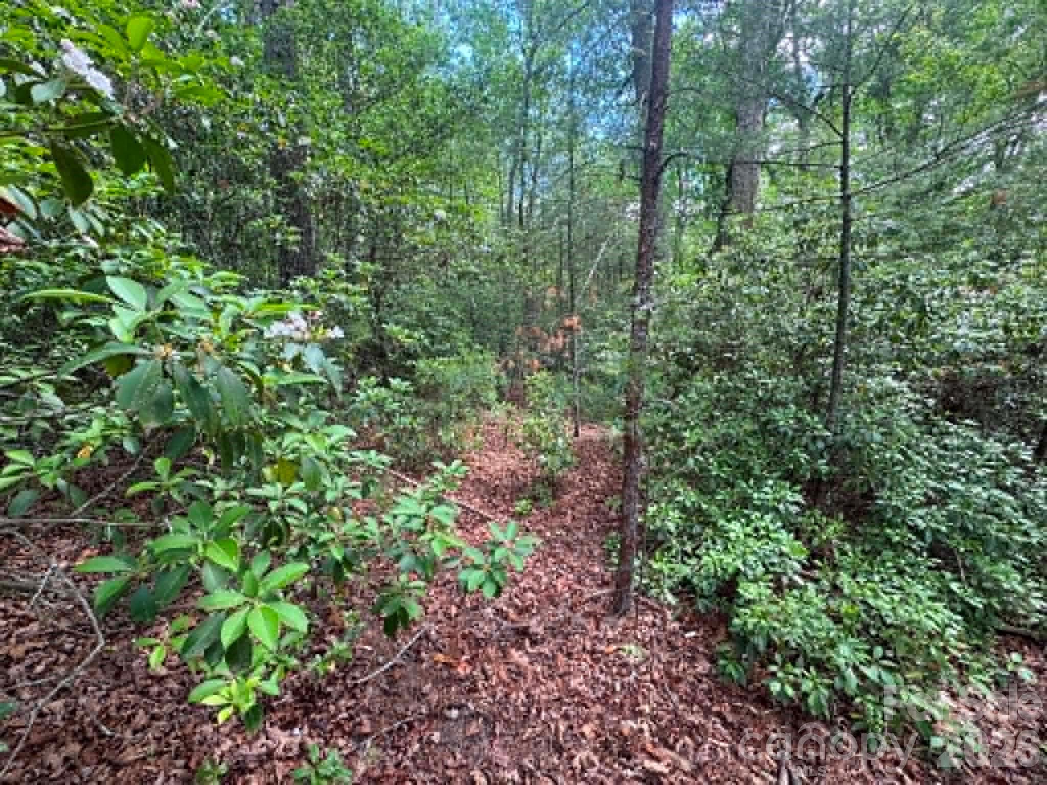 Lot 19 Fawn Lane Hayes NC 28635