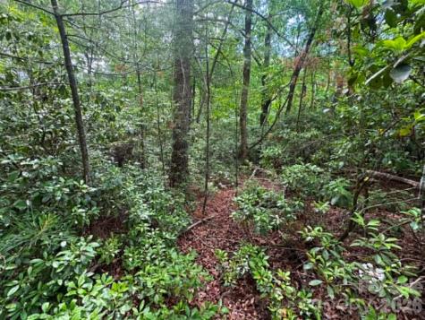 Lot 19 Fawn Lane Hayes NC 28635