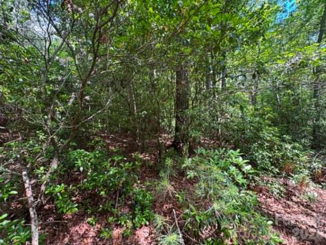 Lot 19 Fawn Lane Hayes NC 28635