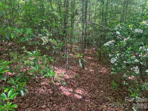 Lot 19 Fawn Lane Hayes NC 28635