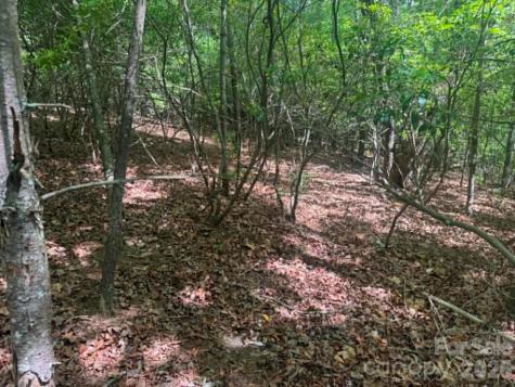 Lot 19 Fawn Lane Hayes NC 28635
