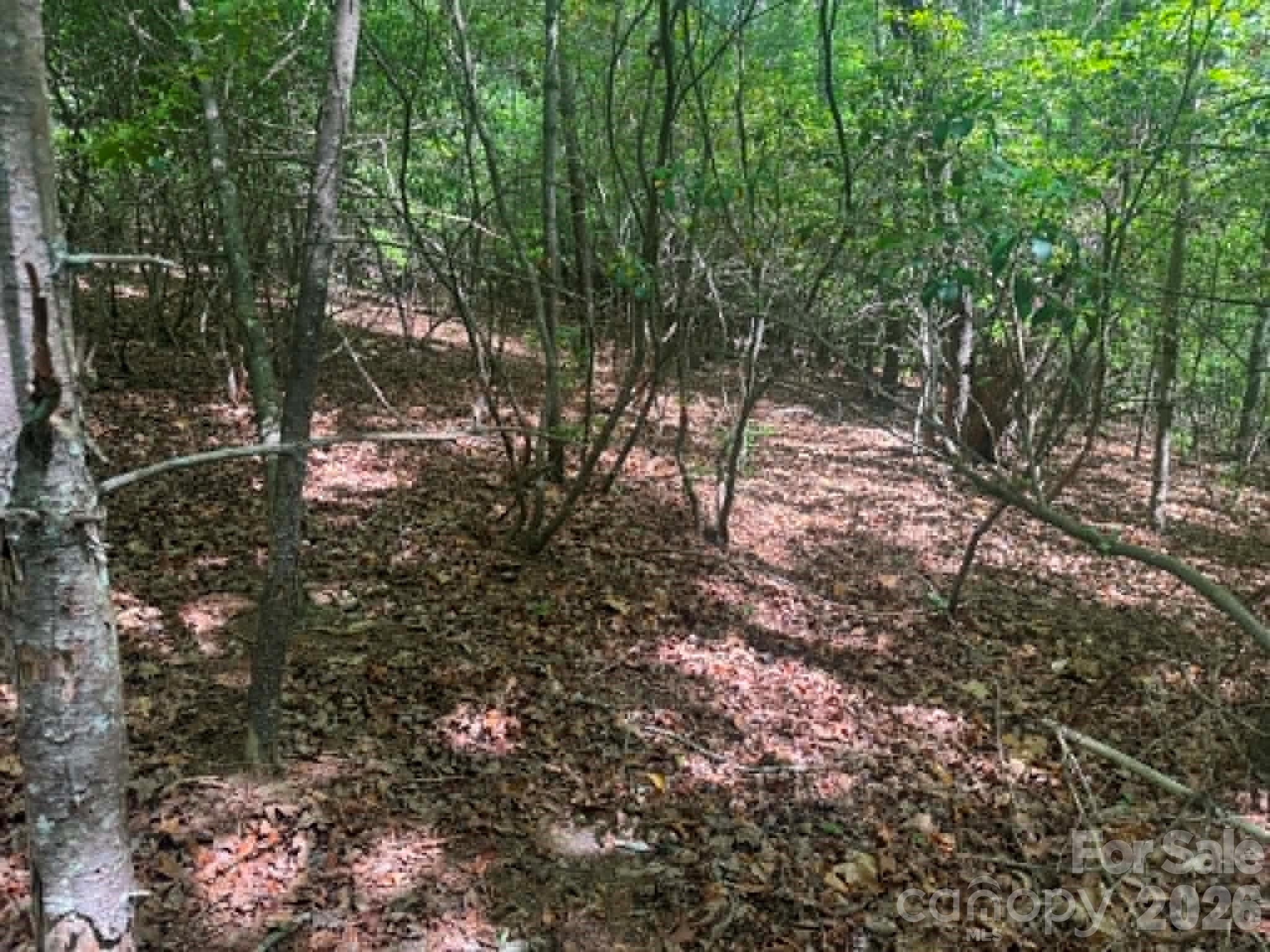 Lot 19 Fawn Lane Hayes NC 28635