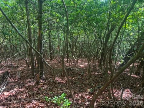 Lot 19 Fawn Lane Hayes NC 28635