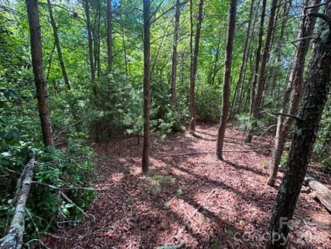 Lot 19 Fawn Lane Hayes NC 28635