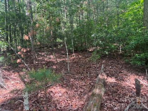 Lot 19 Fawn Lane Hayes NC 28635