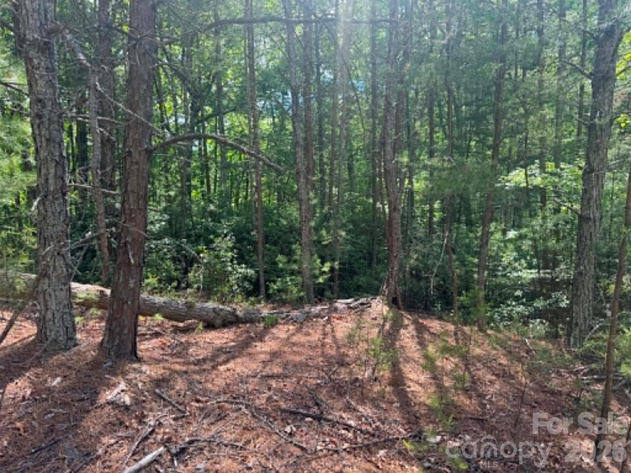 Lot 19 Fawn Lane Hayes NC 28635