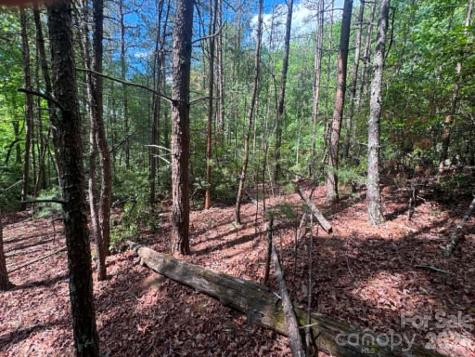 Lot 19 Fawn Lane Hayes NC 28635
