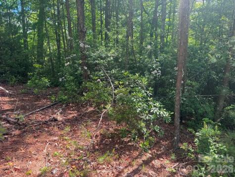 Lot 19 Fawn Lane Hayes NC 28635