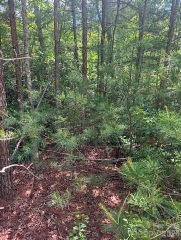 Lot 19 Fawn Lane Hayes NC 28635