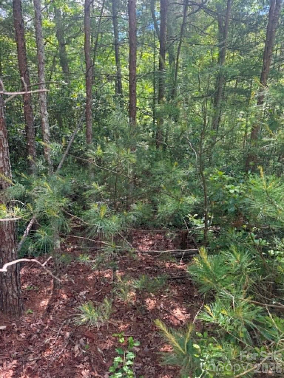 Lot 19 Fawn Lane Hayes NC 28635