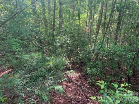 Lot 19 Fawn Lane Hayes NC 28635