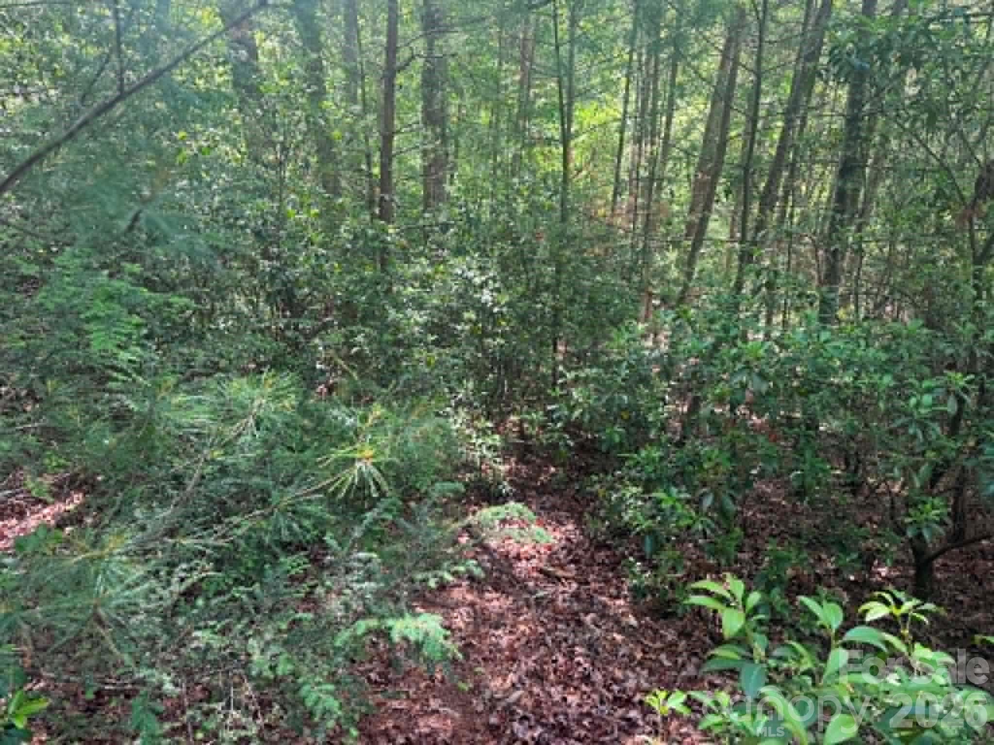 Lot 19 Fawn Lane Hayes NC 28635