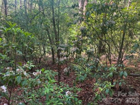 Lot 19 Fawn Lane Hayes NC 28635