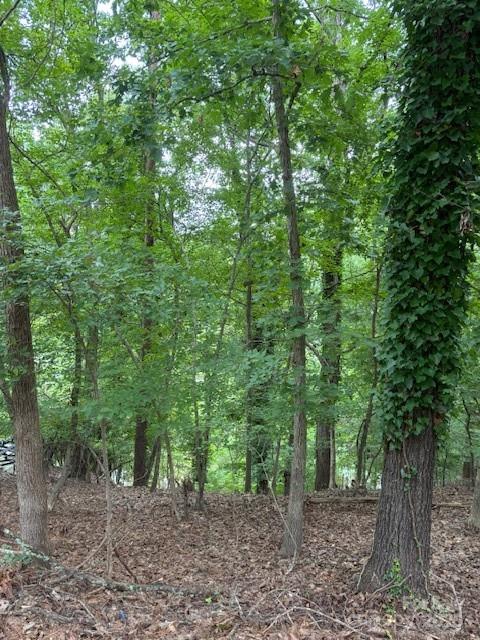 10046 Tepa Place Tega Cay SC 29708