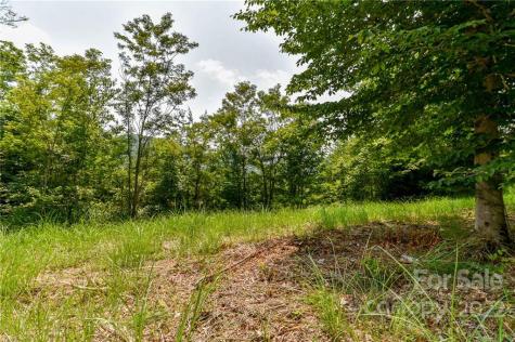319 The Vines Boulevard Marshall NC 28753