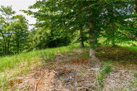 319 The Vines Boulevard Marshall NC 28753