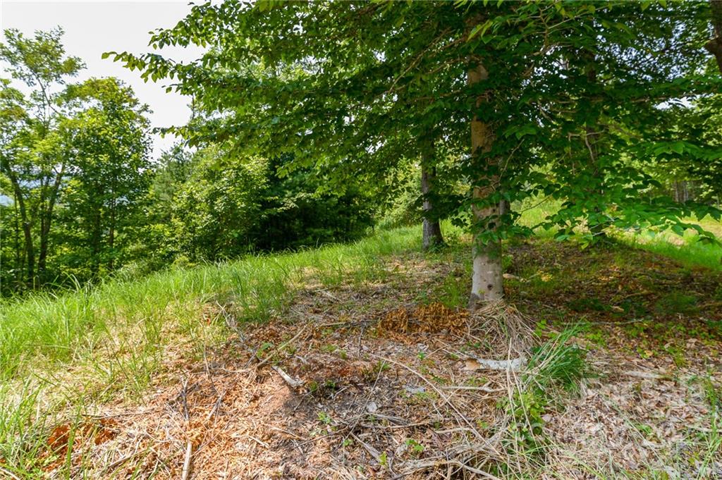 319 The Vines Boulevard Marshall NC 28753