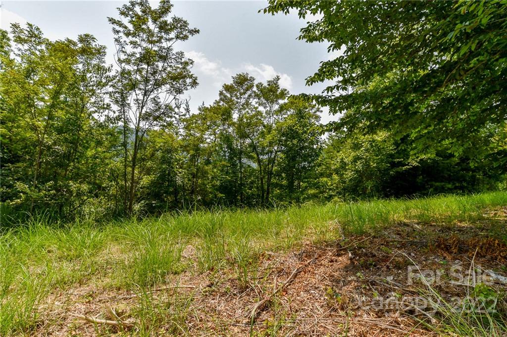 319 The Vines Boulevard Marshall NC 28753