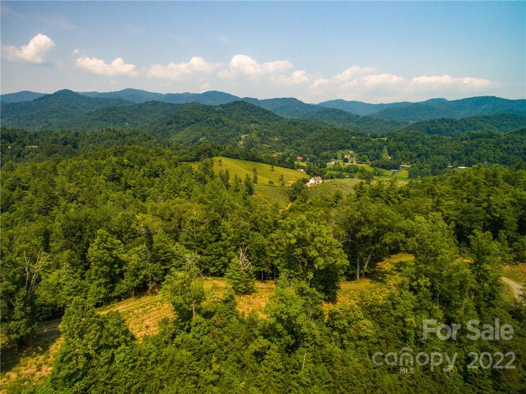 319 The Vines Boulevard Marshall NC 28753