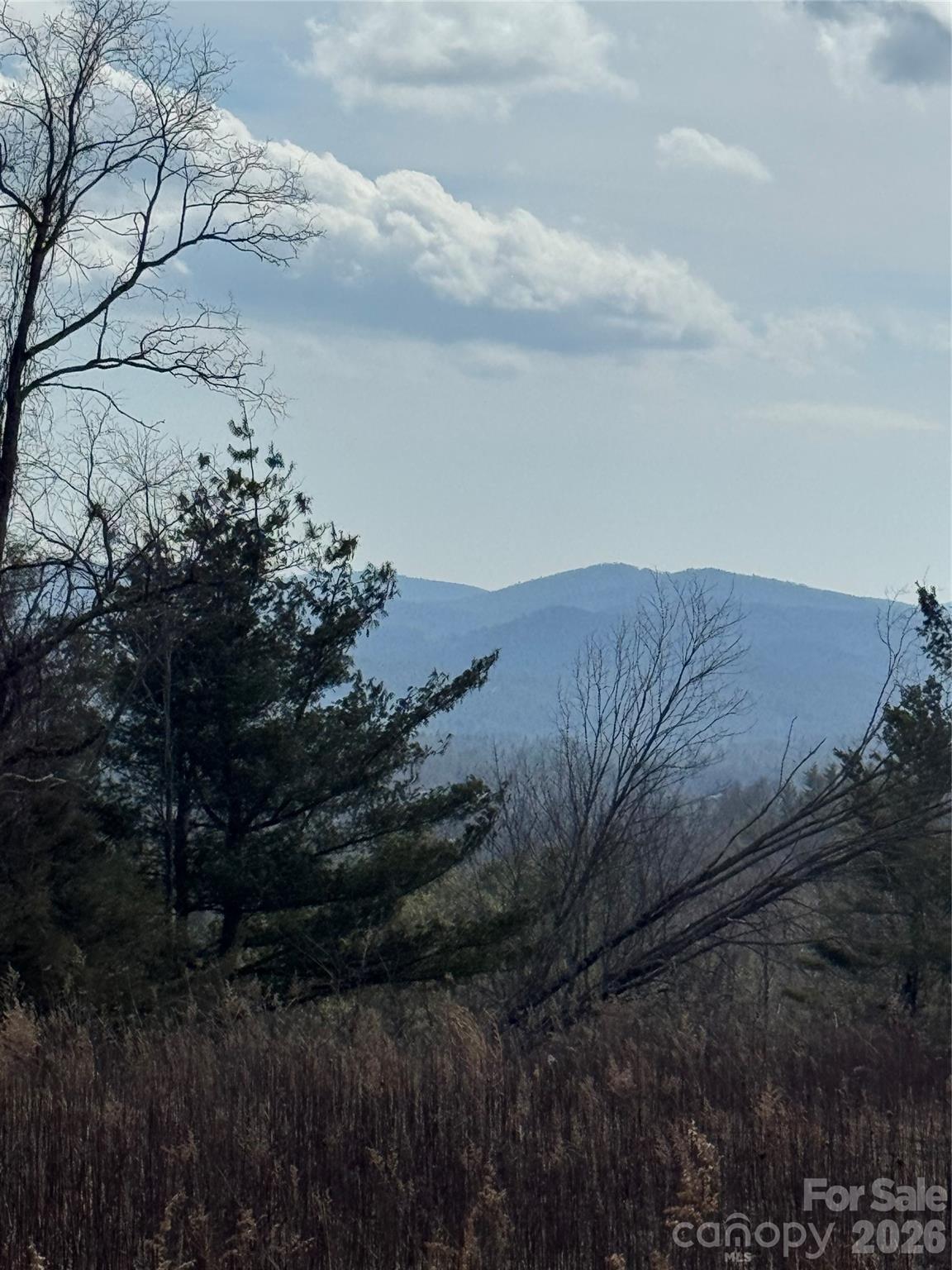 Tbd Lot 52 Crestwood Circle Linville NC 28646