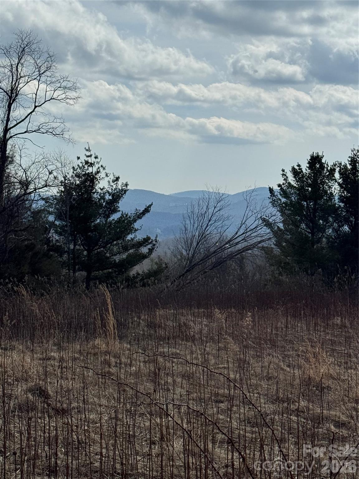 Tbd Lot 52 Crestwood Circle Linville NC 28646