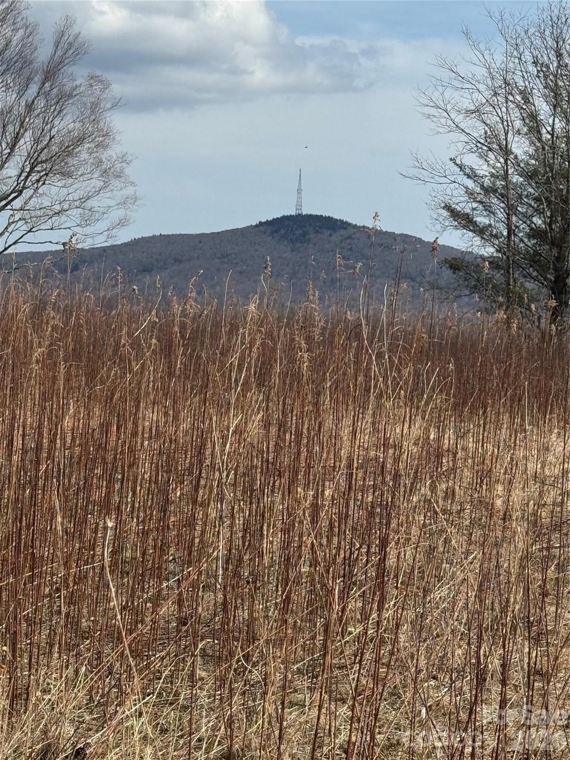 Tbd Lot 52 Crestwood Circle Linville NC 28646