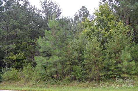 0 Old Morganton Road Union Mills NC 28139