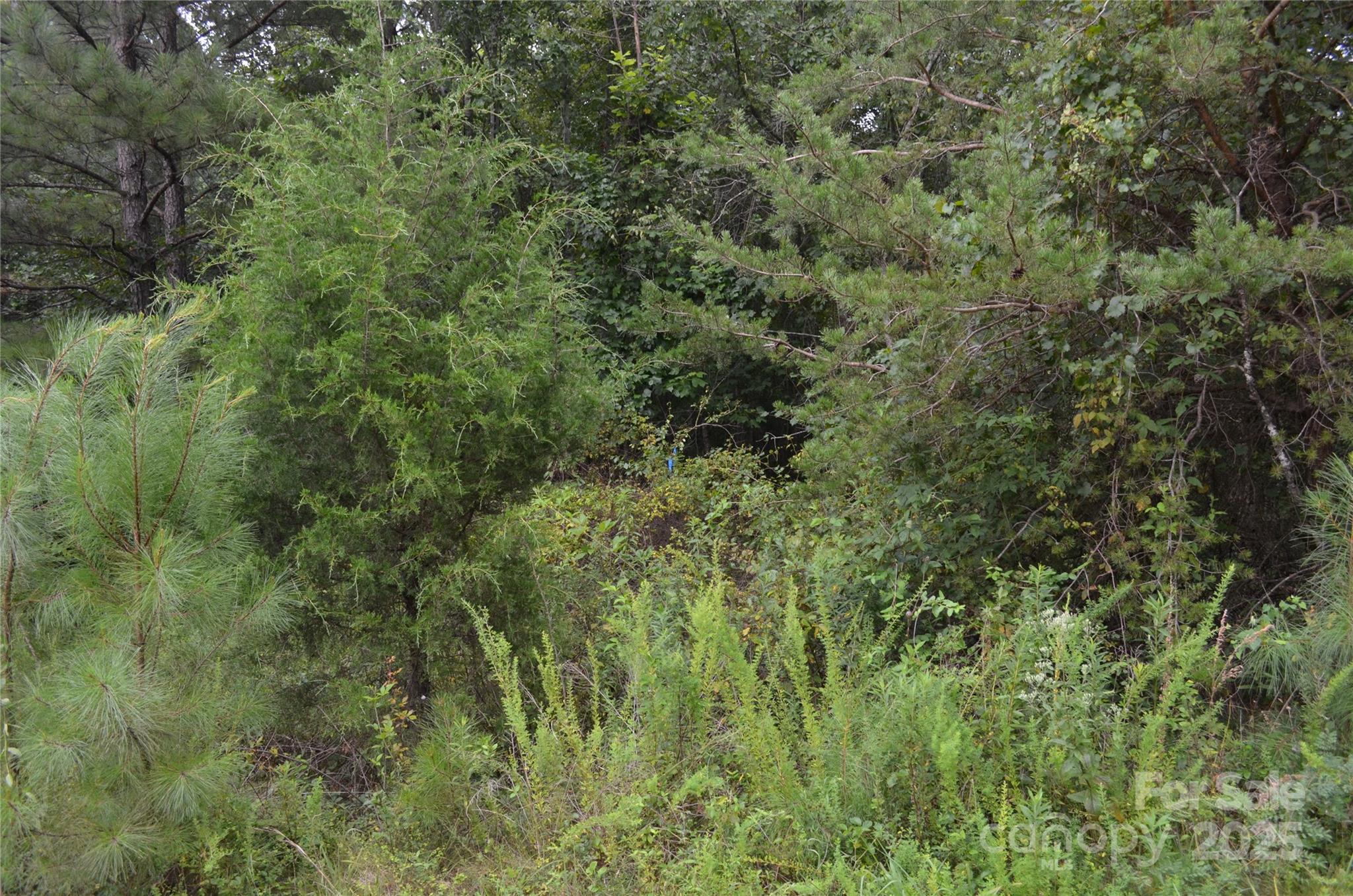 0 Old Morganton Road Union Mills NC 28139