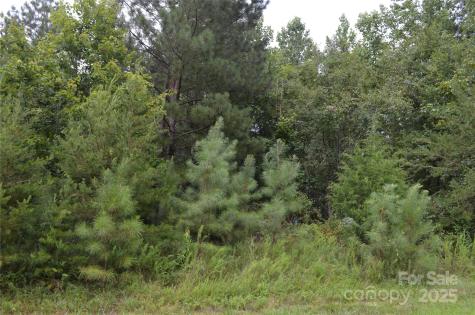 0 Old Morganton Road Union Mills NC 28139