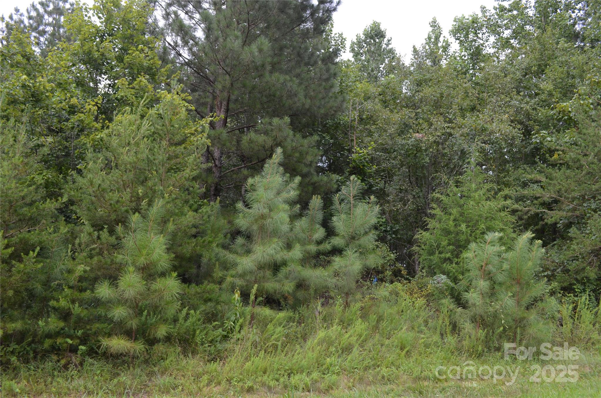 0 Old Morganton Road Union Mills NC 28139