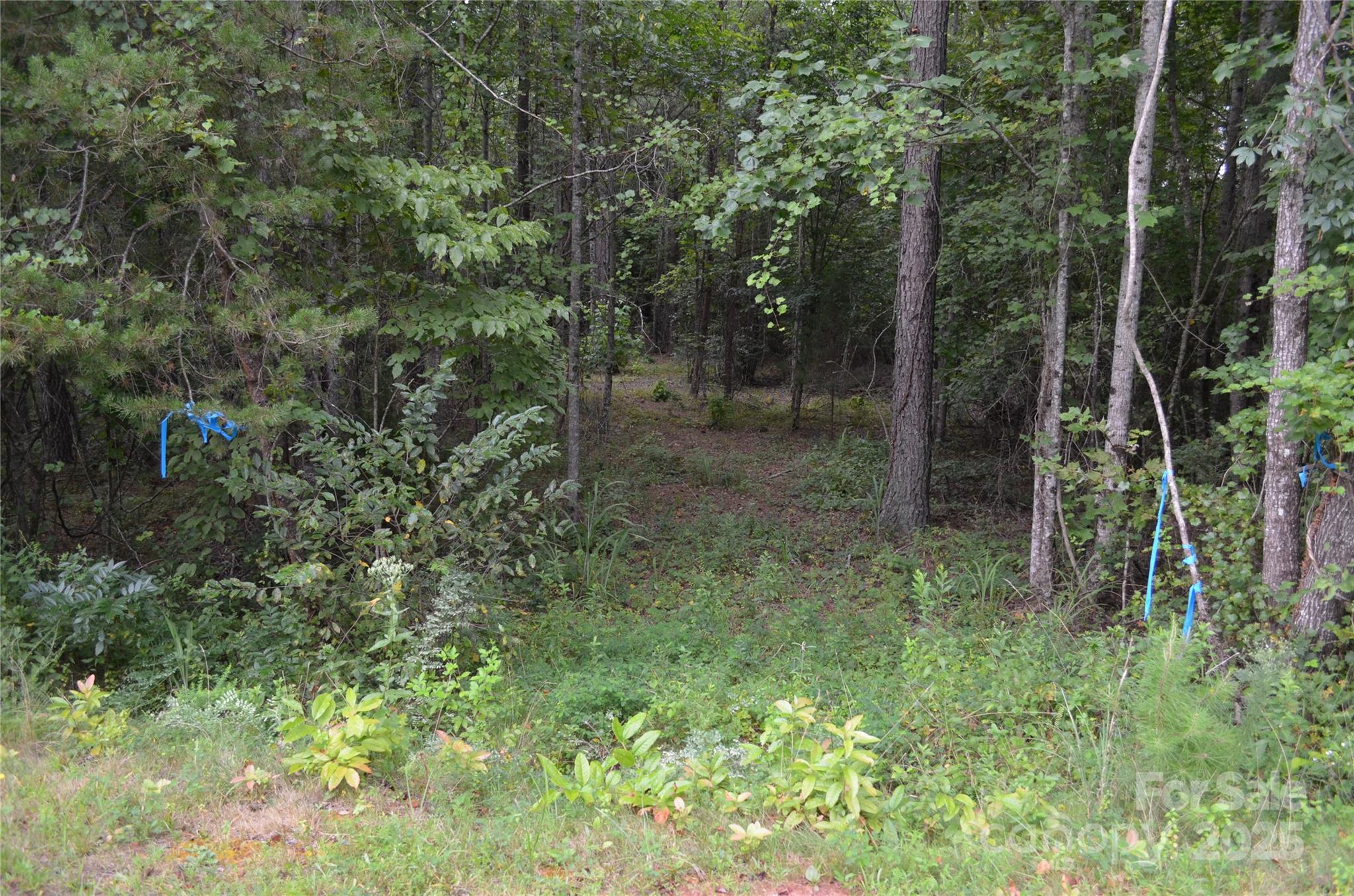 0 Old Morganton Road Union Mills NC 28139