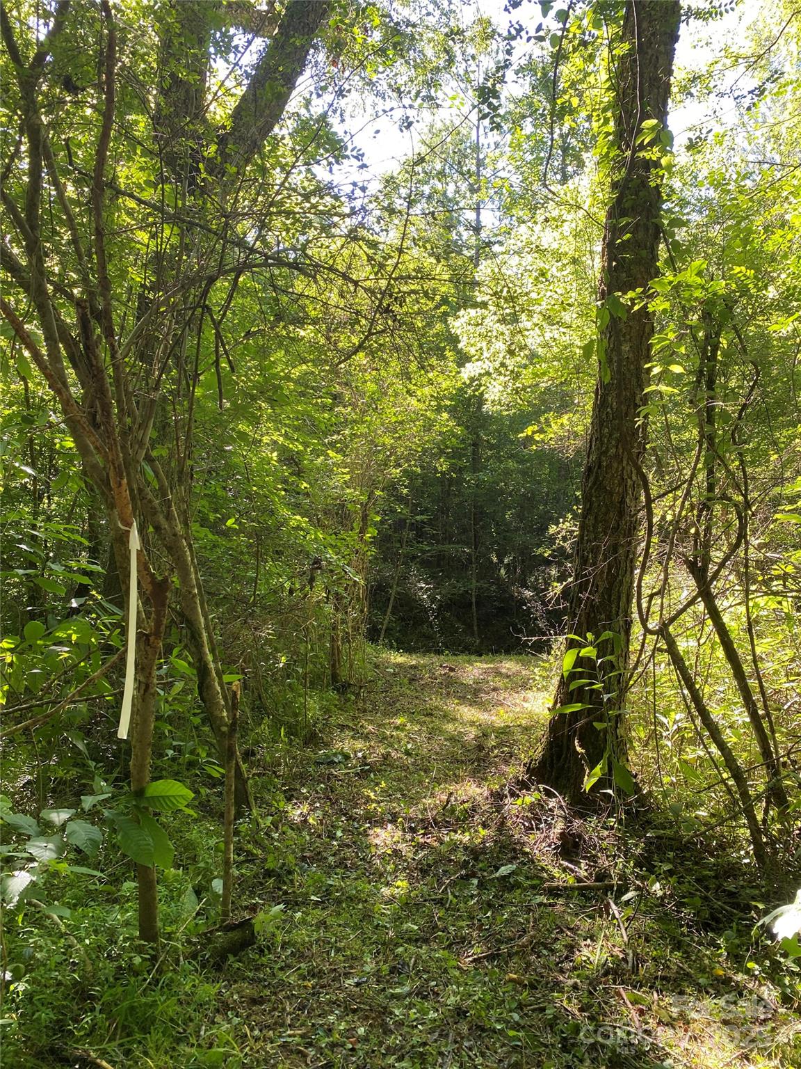 0 Old Morganton Road Union Mills NC 28139