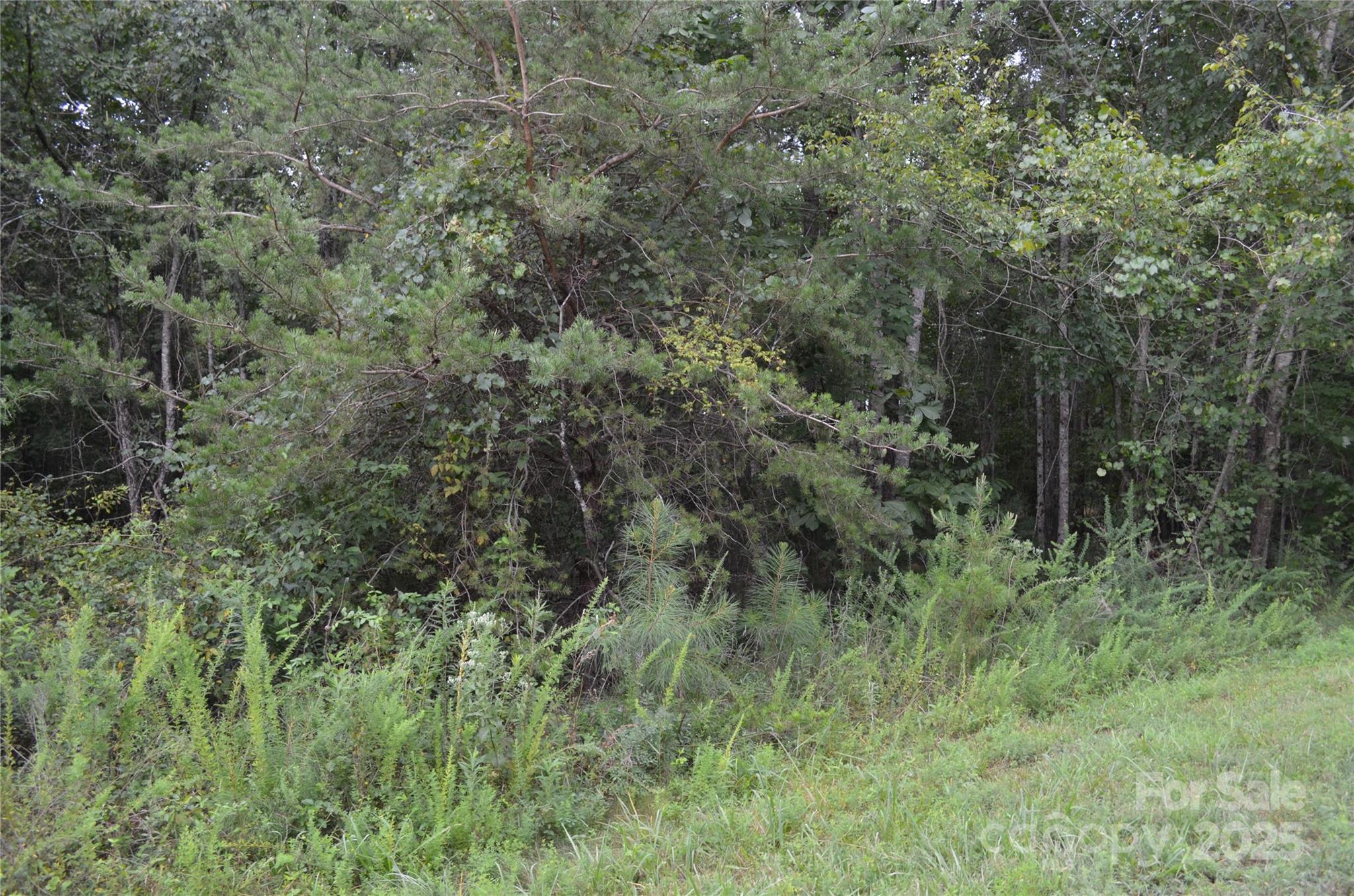 0 Old Morganton Road Union Mills NC 28139