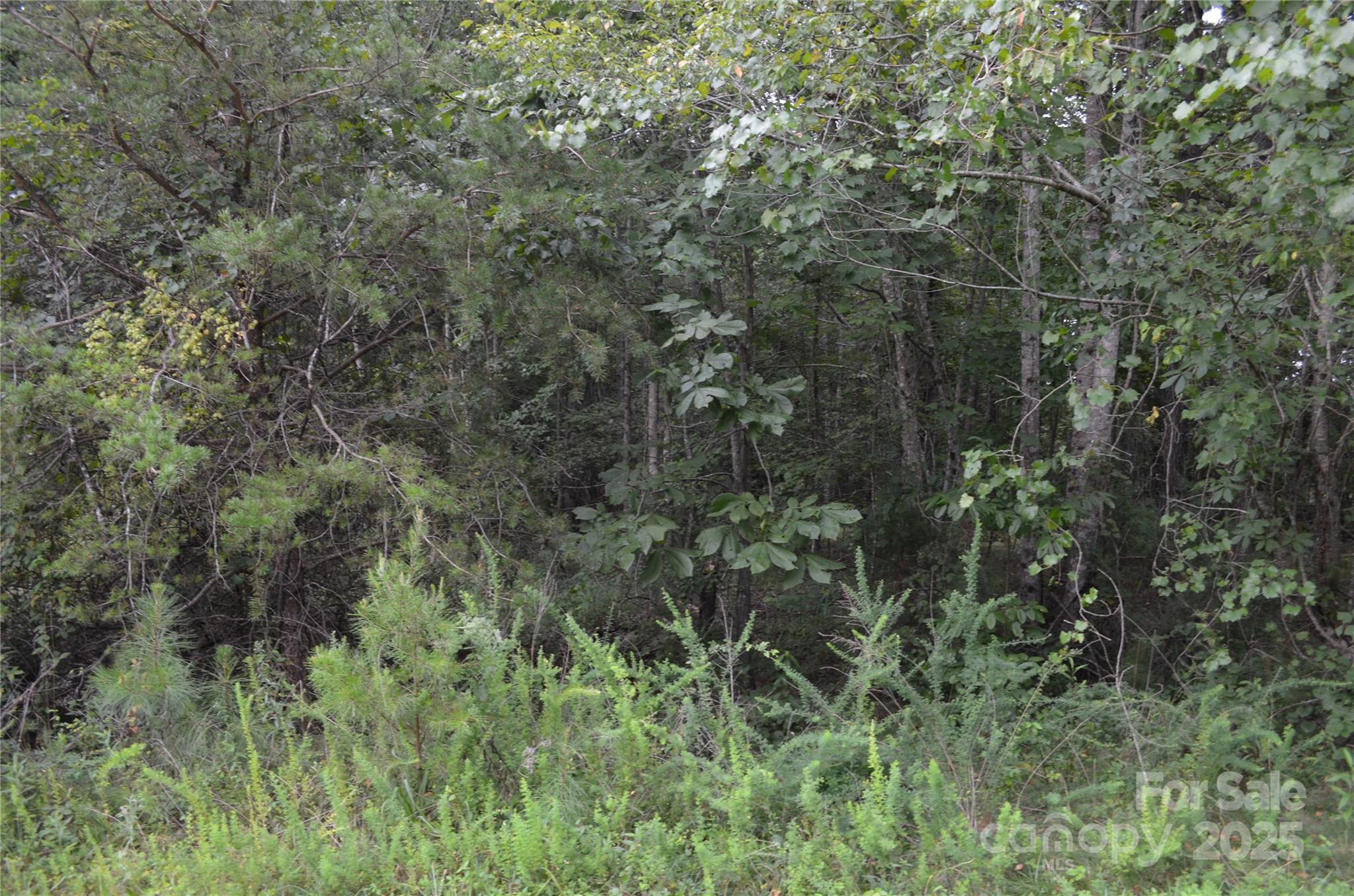 0 Old Morganton Road Union Mills NC 28139